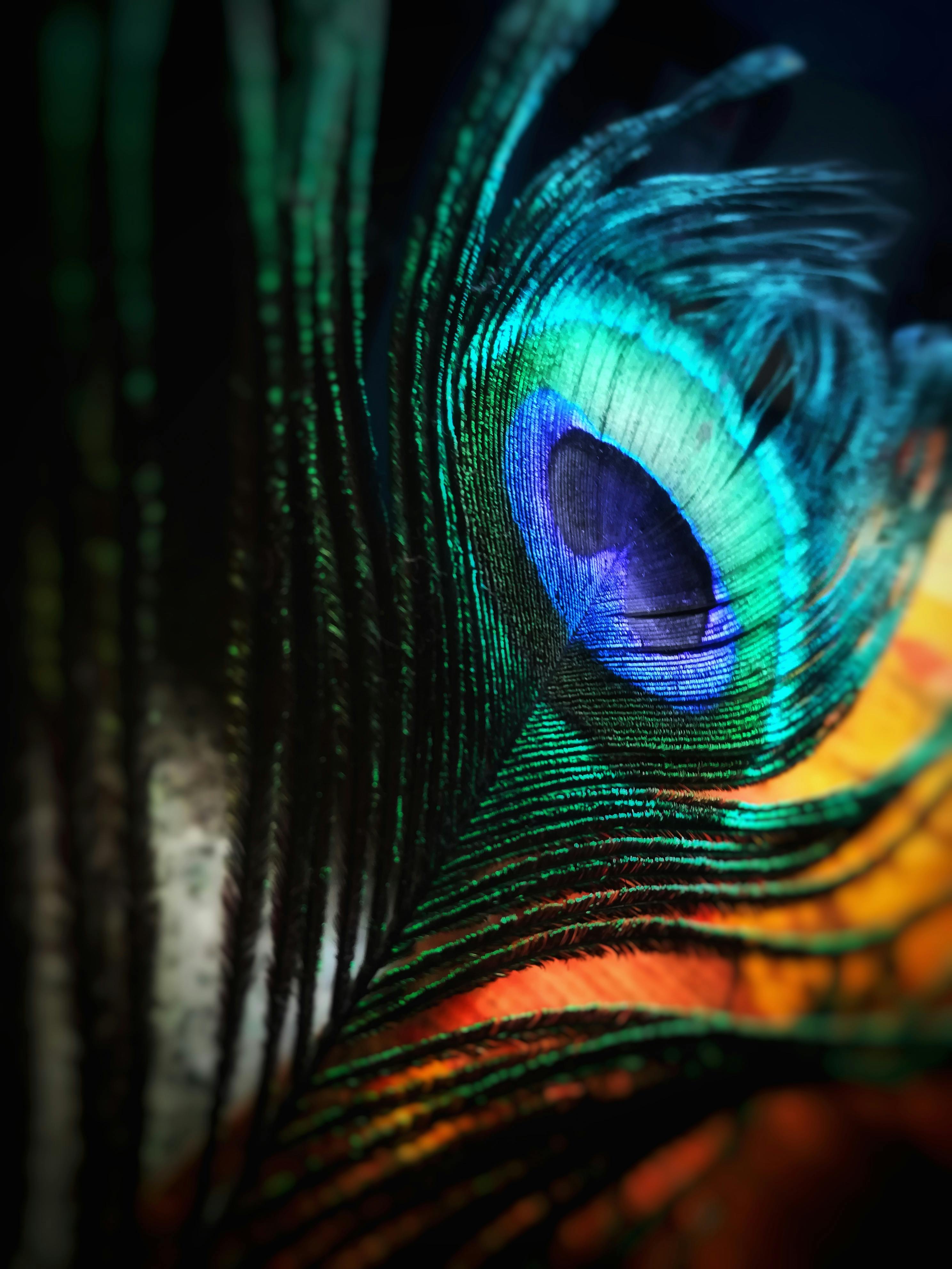 Serivce Image